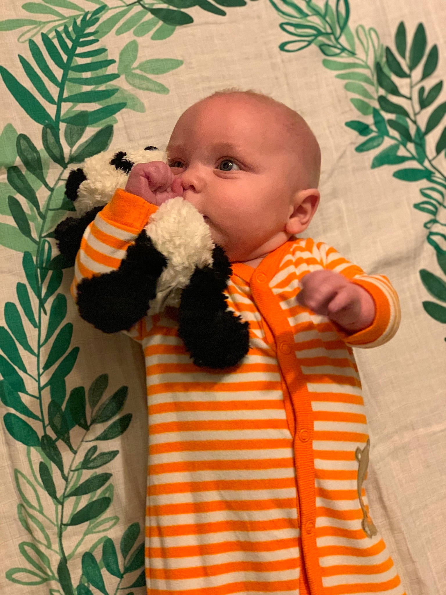 Alistair is registered to the contest to win money with this photo: baby, child, person, plant, product, room, stuffed_toy, textile, toddler