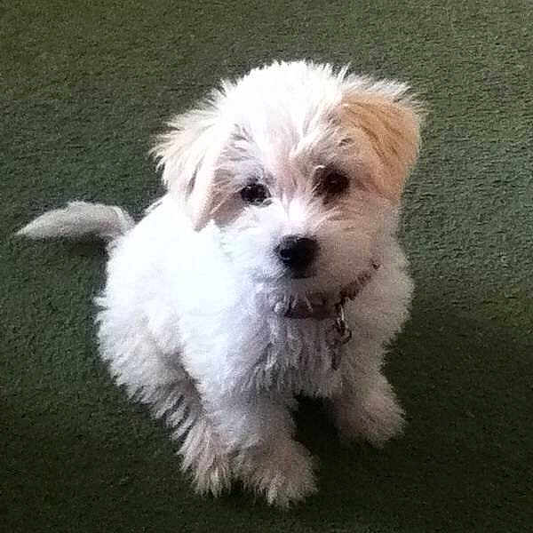 Bella joined the competition — help win amazing prizes!