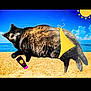 cat, beach, ocean, sky, sun, bikini, sunscreen, sand, animal, summer, vacation, funny, digital_edit, outdoor, blue_sky, clouds, playful, relaxation, holiday, sunshine