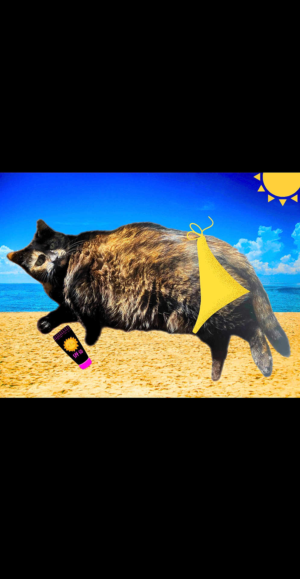 Sally Bowles is registered to the contest to win money with this photo: cat, beach, sand, ocean, sky, sun, bikini, sunscreen, animal, feline, funny, photoshop, summer, vacation, relaxation, sunny, blue_sky, clouds, humor, edited