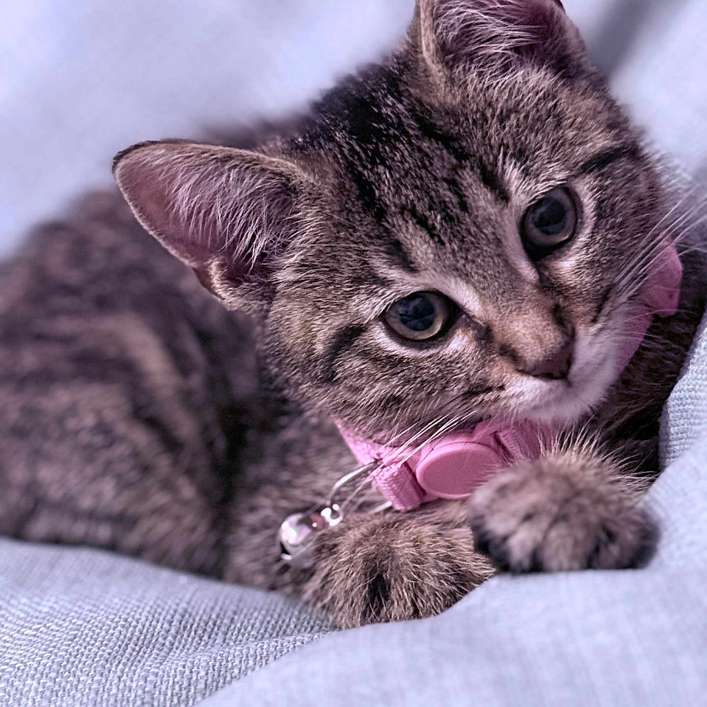 Olivia