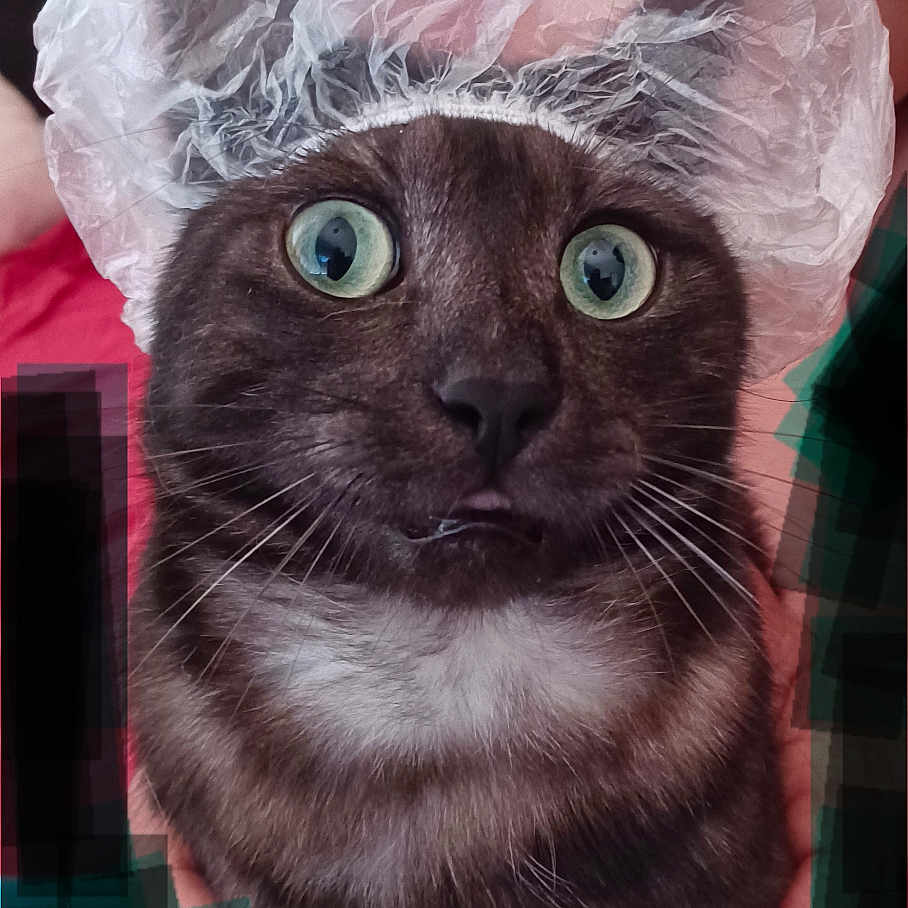 Fudgee
