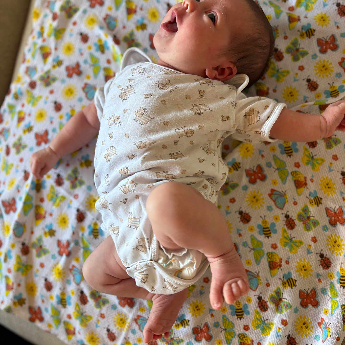 éléa participe au concours pour gagner de l'argent avec cette photo : baby, bee, blanket, butterfly, child, clothing, cute, face, flower, foot, hand, happy, indoors, infant, looking_up, lying_down, newborn, onesie, patterned_blanket, skin