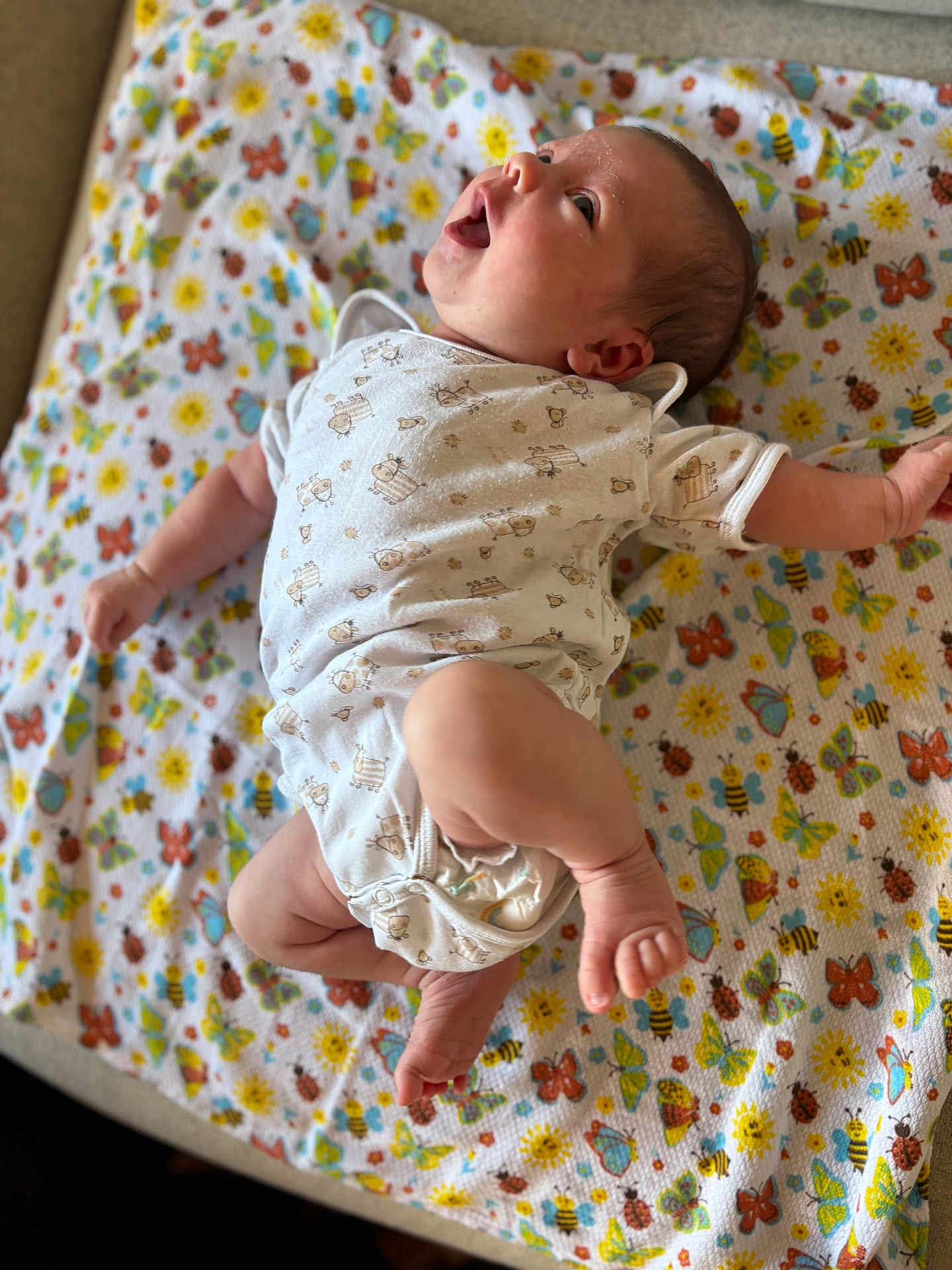 éléa participe au concours pour gagner de l'argent avec cette photo : baby, infant, child, blanket, patterned_blanket, butterfly, bee, flower, onesie, clothing, lying_down, happy, looking_up, cute, newborn, skin, foot, hand, face, indoors