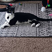 Pretty is registered to the contest to win money with this photo: cat, black_and_white, lying_down, rug, patterned_rug, toy, colorful_toy, clock, indoor, carpet, pet, feline, relaxed, household, decor, playful, animal, resting, domestic, cozy