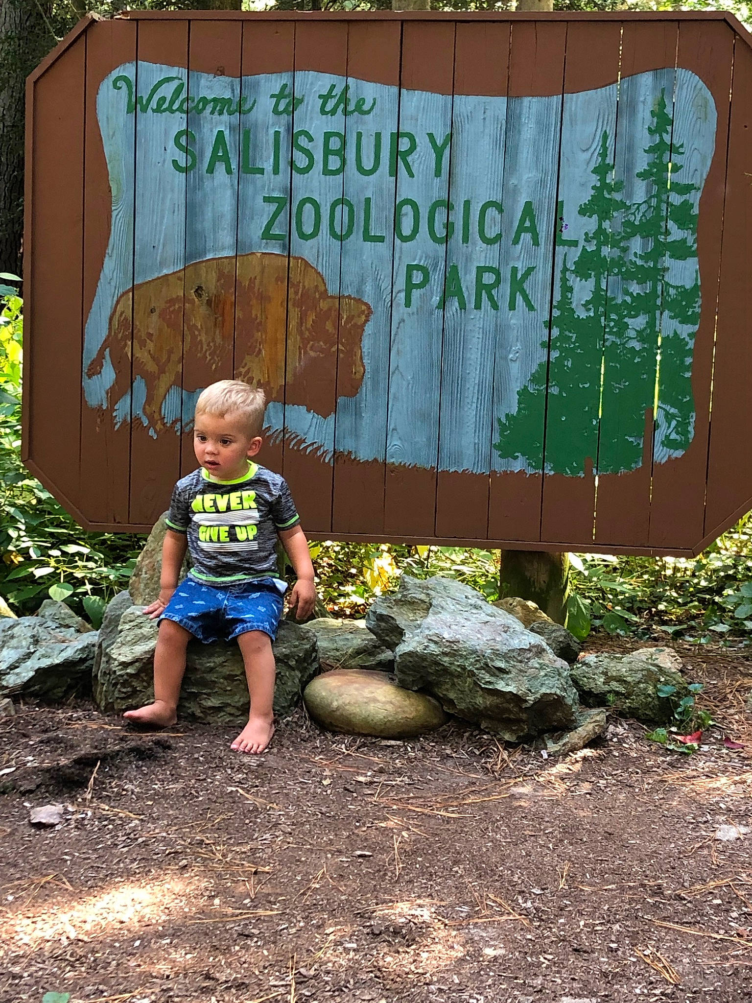 Jedidiah joined the competition — help win amazing prizes! adaptation, leaf, national_park, nature_reserve, person, plant, rock, state_park, summer, tree, vacation