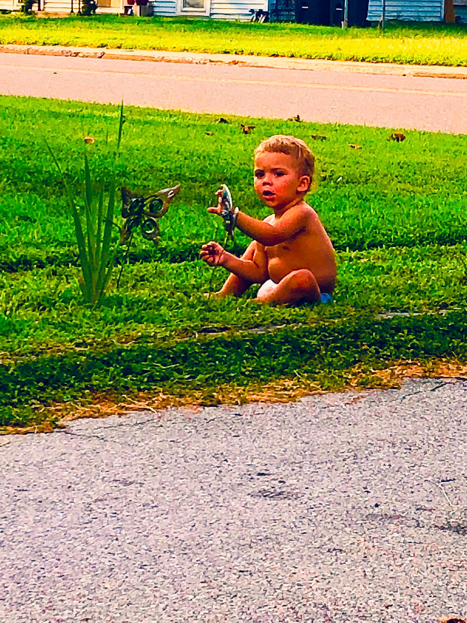 Jedidiah joined the competition — help win amazing prizes! asphalt, child, fun, grass, grass_family, green, lawn, leisure, person, plant, play, road, sidewalk, smile, summer, toddler, tree, vacation