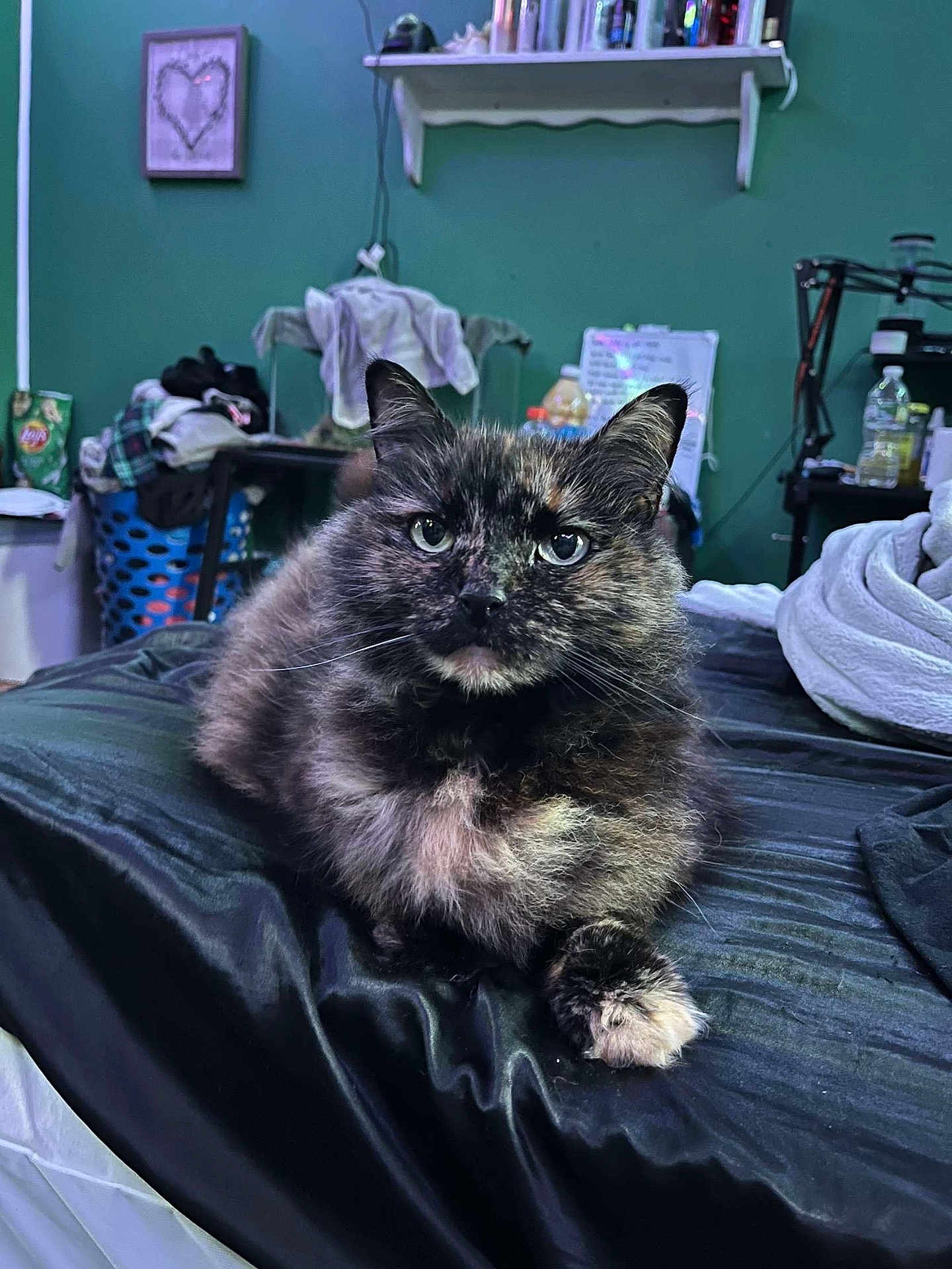 Muffin