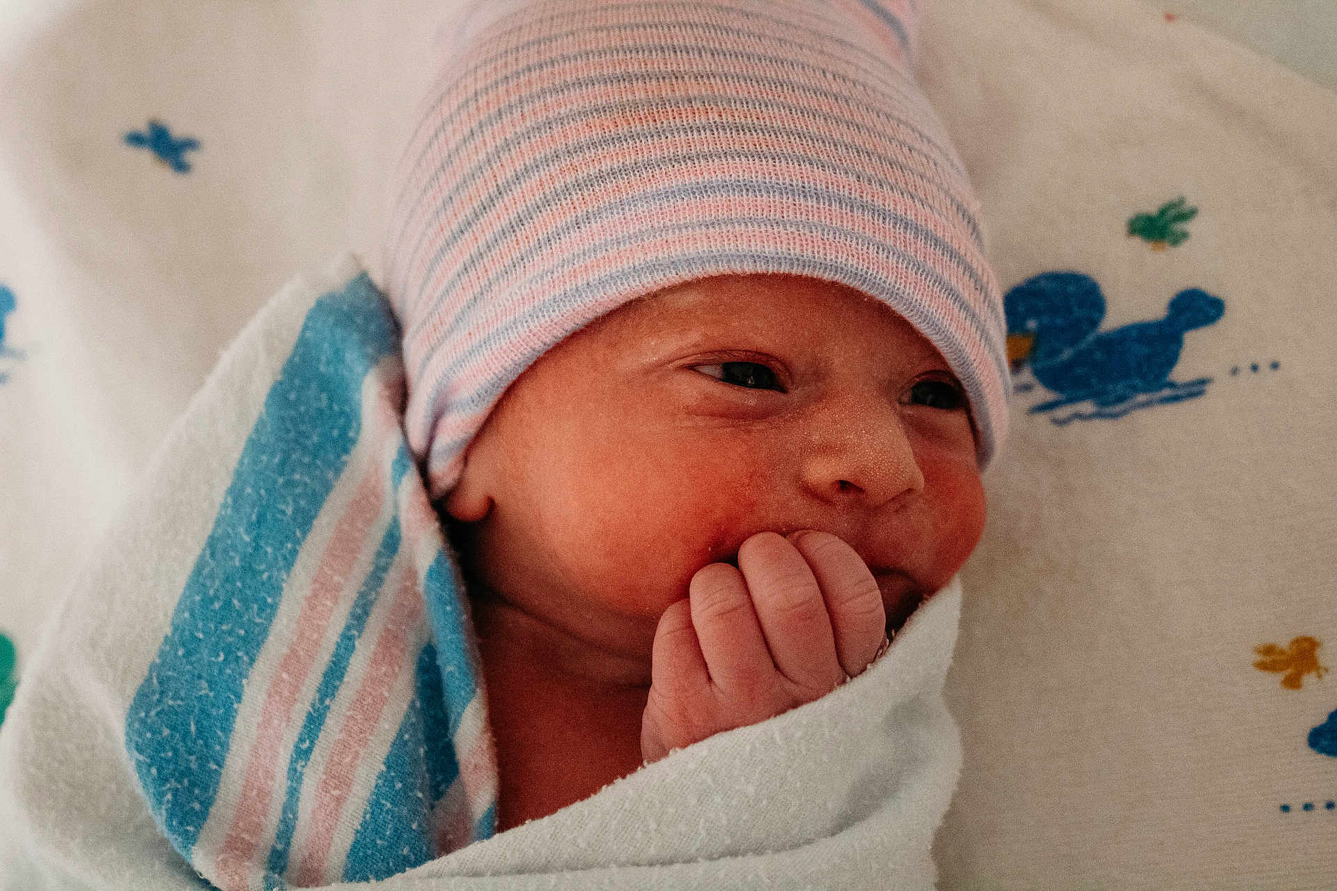 Eric is registered to the contest to win money with this photo: newborn, baby, infant, wrapped, blanket, hat, hospital, bed, bedding, duck_pattern, cute, face, hand, skin, portrait, sleepwear, cozy, small, child, resting