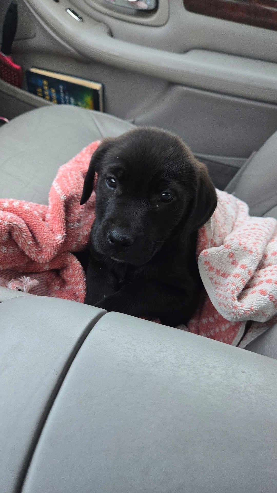Marley