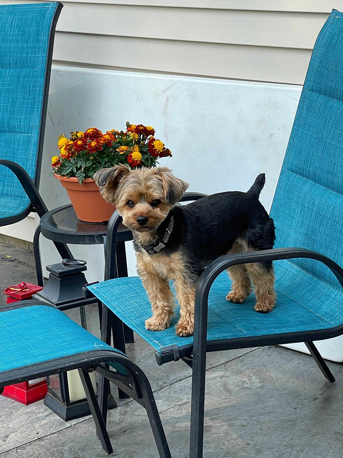 Max