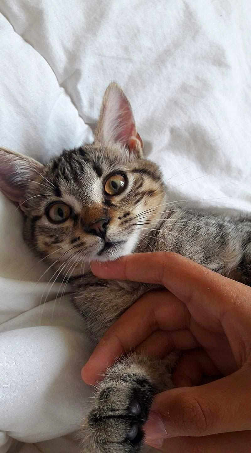 Nina