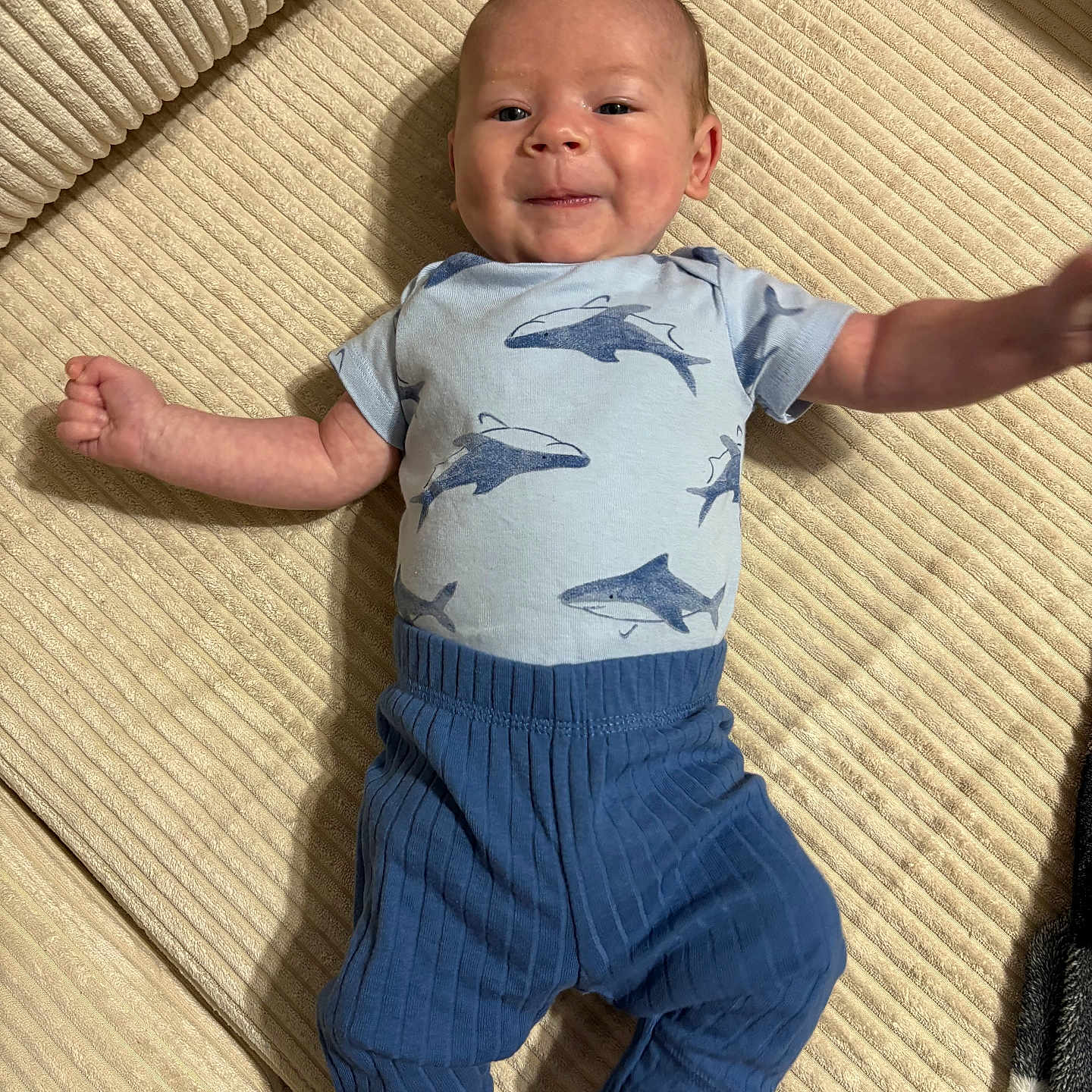 Jaxon