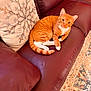 cat, orange_tabby, pet, leather_couch, decorative_pillow, snowflake_design, indoor, curious, alert, fur, whiskers, ears, tail, relaxed, carpet, patterned_rug, home_interior, furniture, animal, domestic_cat