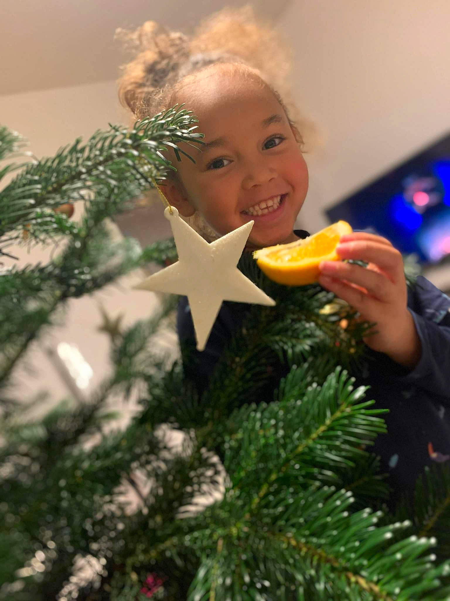 Shirley a rejoint le concours — aidez-le/la à gagner de superbes lots ! christmas, christmas_decoration, christmas_ornament, christmas_tree, conifer, event, evergreen, grass, happy, holiday, holiday_ornament, joy, ornament, people_in_nature, person, plant, shortstraw_pine, smile, toddler, toy