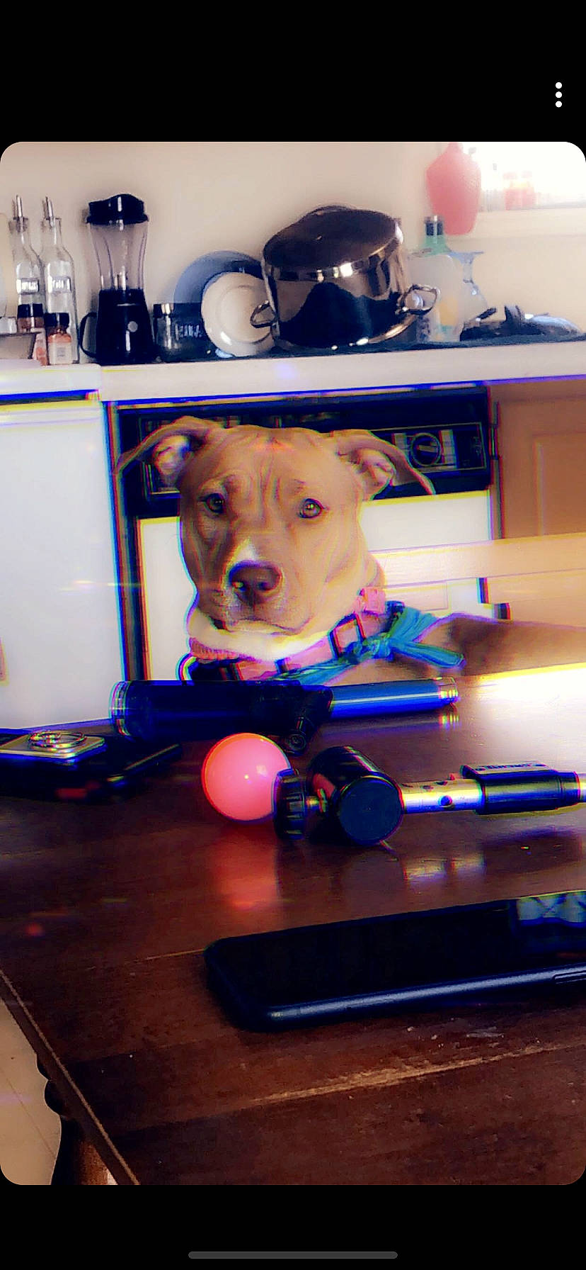 Luna Jade joined the competition — help win amazing prizes! electronics, fun, furniture, headwear, person, room