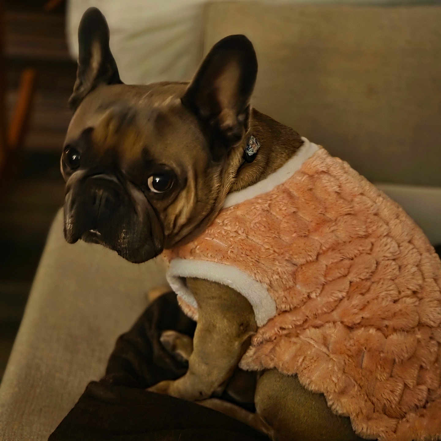Lulu