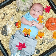 Tommy joined the competition — help win amazing prizes! baby, infant, sensory_bin, oats, autumn_leaves, knitted_pumpkin, orange_pumpkin, blue_shirt, grey_pants, white_shoes, hands_clasped, floor, indoor, playtime, curious_expression, child, fall_theme, decor, cute, portrait