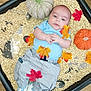 baby, infant, sensory_bin, oats, autumn_leaves, knitted_pumpkin, orange_pumpkin, blue_shirt, grey_pants, white_shoes, hands_clasped, floor, indoor, playtime, curious_expression, child, fall_theme, decor, cute, portrait