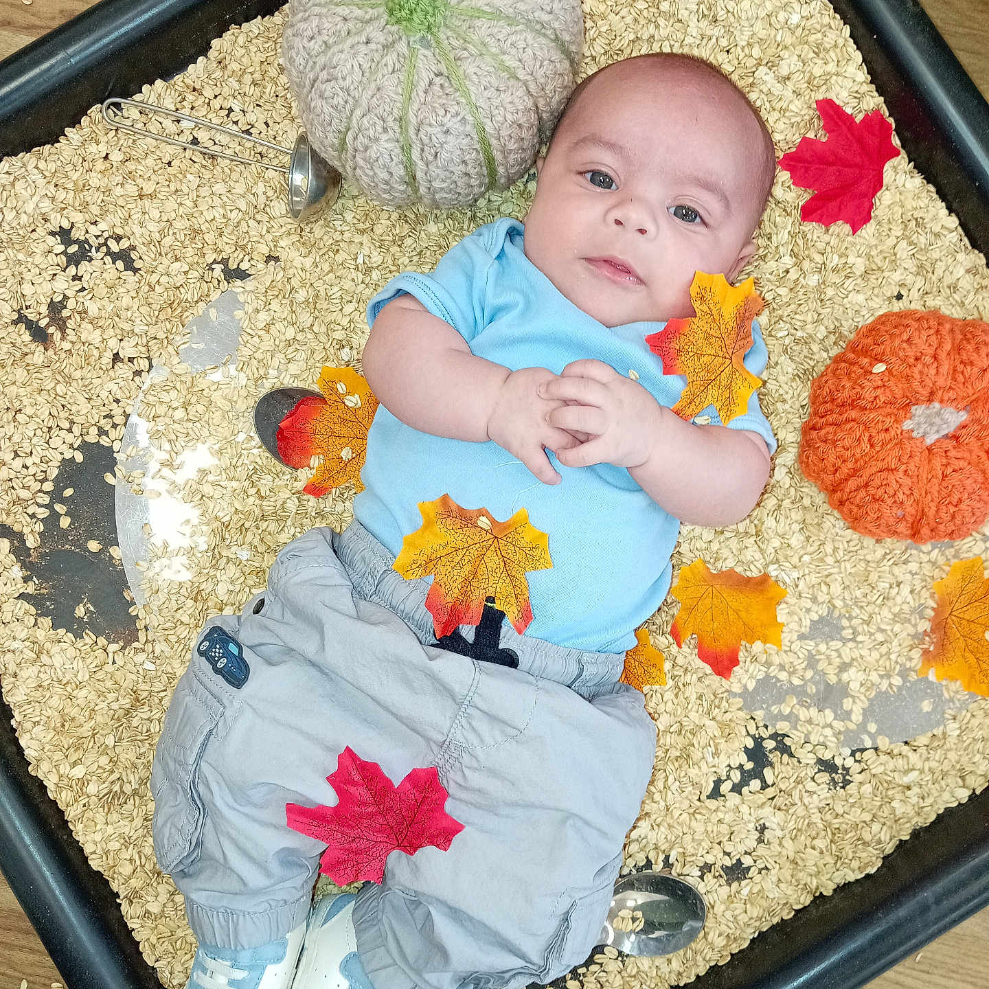 Tommy joined the competition — help win amazing prizes! autumn_leaves, baby, blue_shirt, child, curious_expression, cute, decor, fall_theme, floor, grey_pants, hands_clasped, indoor, infant, knitted_pumpkin, oats, orange_pumpkin, playtime, portrait, sensory_bin, white_shoes