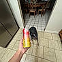 Daisy joined the competition — help win amazing prizes! dog, can, hand, kitchen, tile_floor, refrigerator, table, chair, energy_drink, indoor, person, furniture, curious, brown, black, white, sitting, drink, floor, lighting