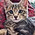 Arlo