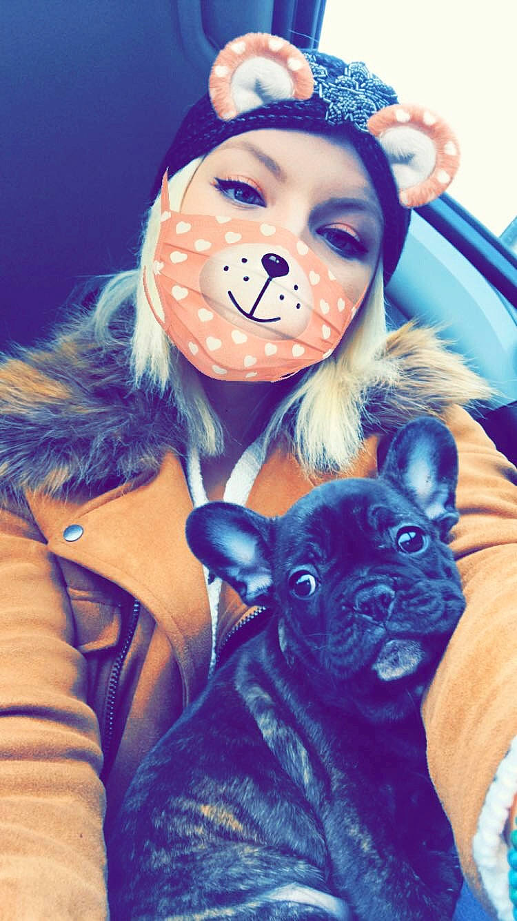 Nels participe au concours pour gagner de l'argent avec cette photo : boston_terrier, canidae, carnivore, companion_dog, dog, dog_breed, ear, fawn, french_bulldog, non_sporting_group, nose, photography, puppy, puppy_love, selfie, snout