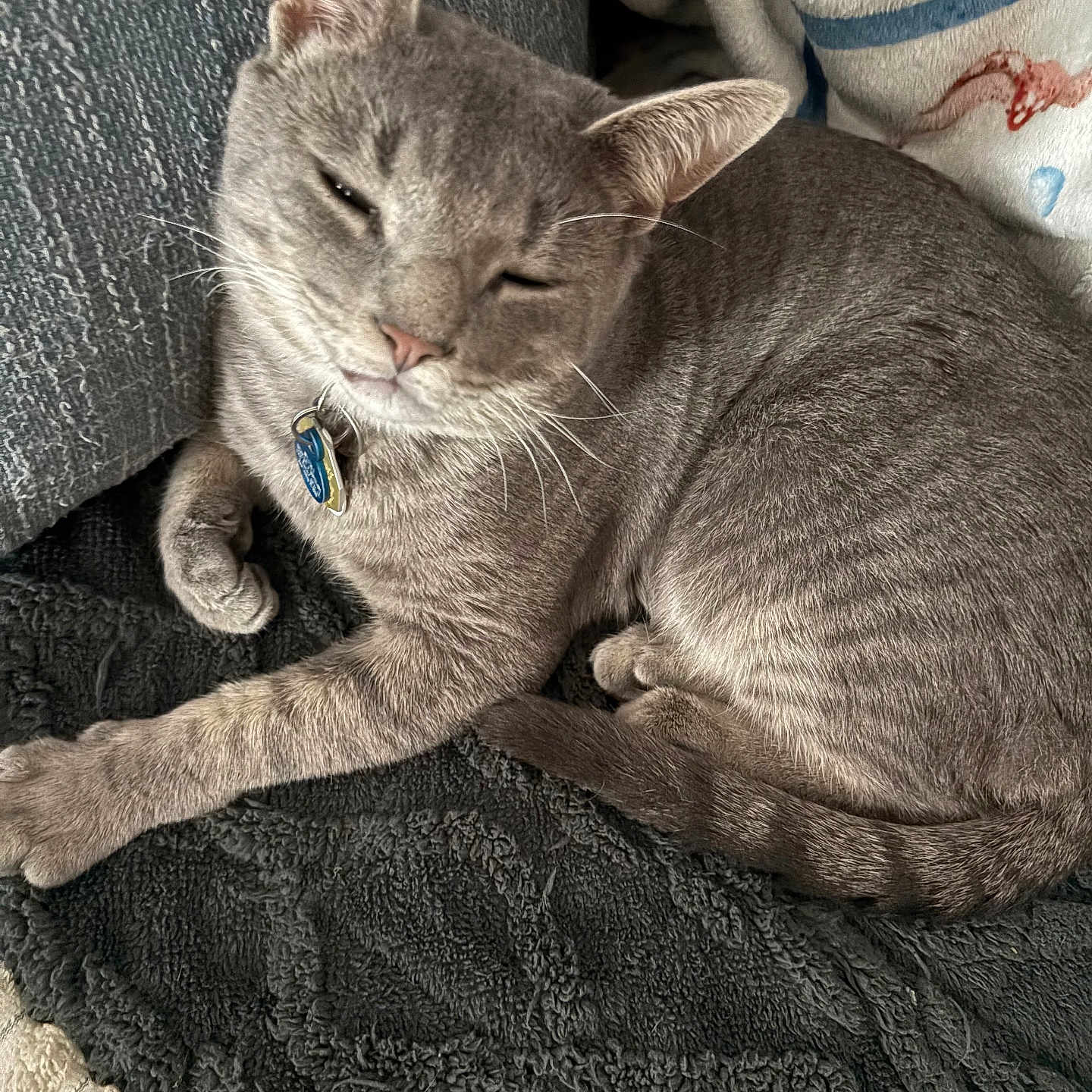 Suki