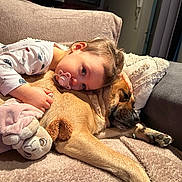 Léna participe au concours pour gagner de l'argent avec cette photo : blanket, child, clothing, comfort, couch, cute, dog, face, hand, home, hug, indoor, pacifier, pet, plush, relaxation, sleeping_dog, soft, stuffed_toy, toddler