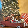 christmas_tree, puppy, toy, red_truck, blanket, stuffed_animal, holiday, gift, ornaments, lights, wooden_floor, decor, festive, indoor, cozy, christmas, dog, present, santa_hat, winter