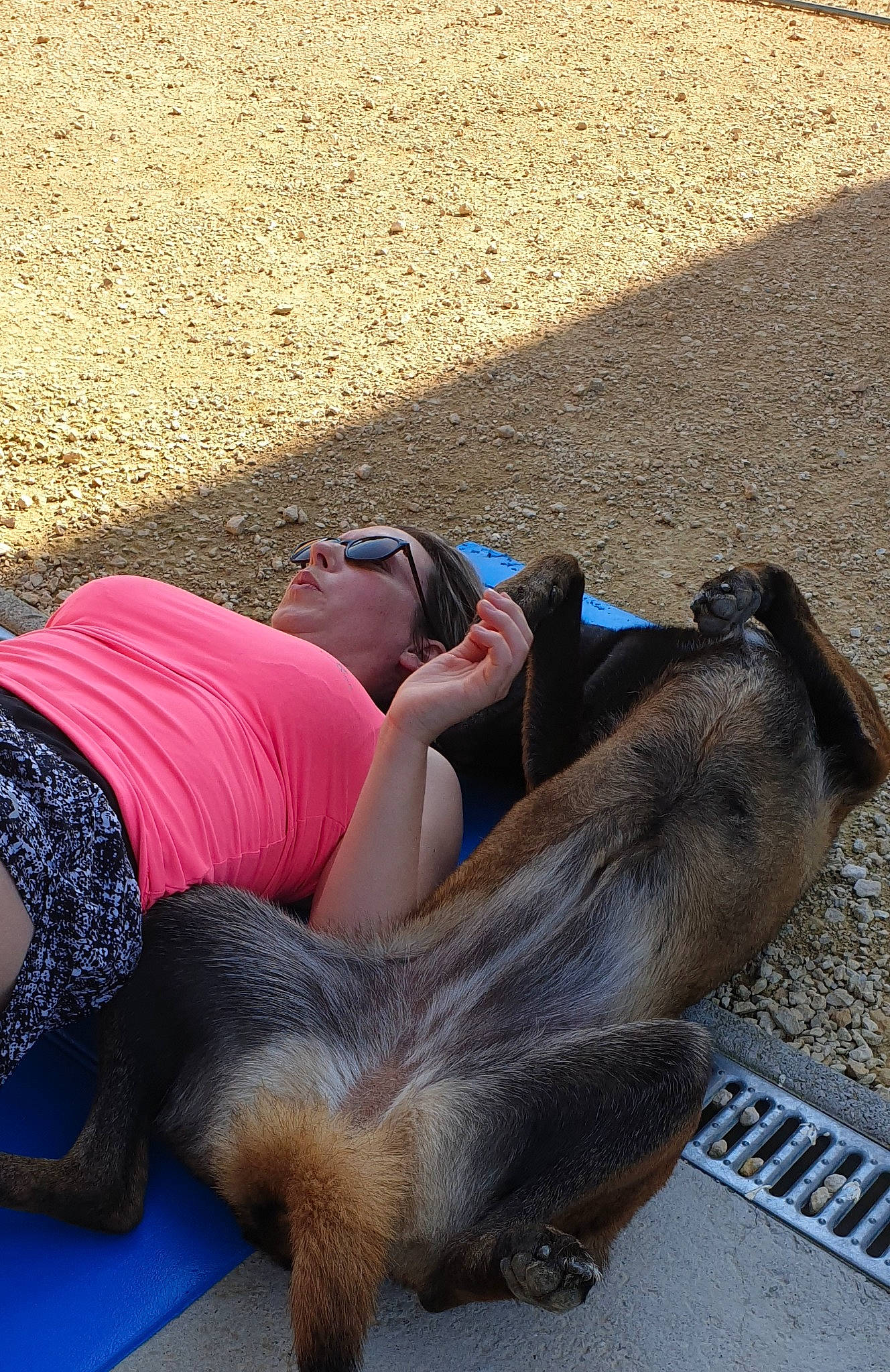 Lhla participe au concours pour gagner de l'argent avec cette photo : canidae, carnivore, dog_breed, fawn, nap, snout