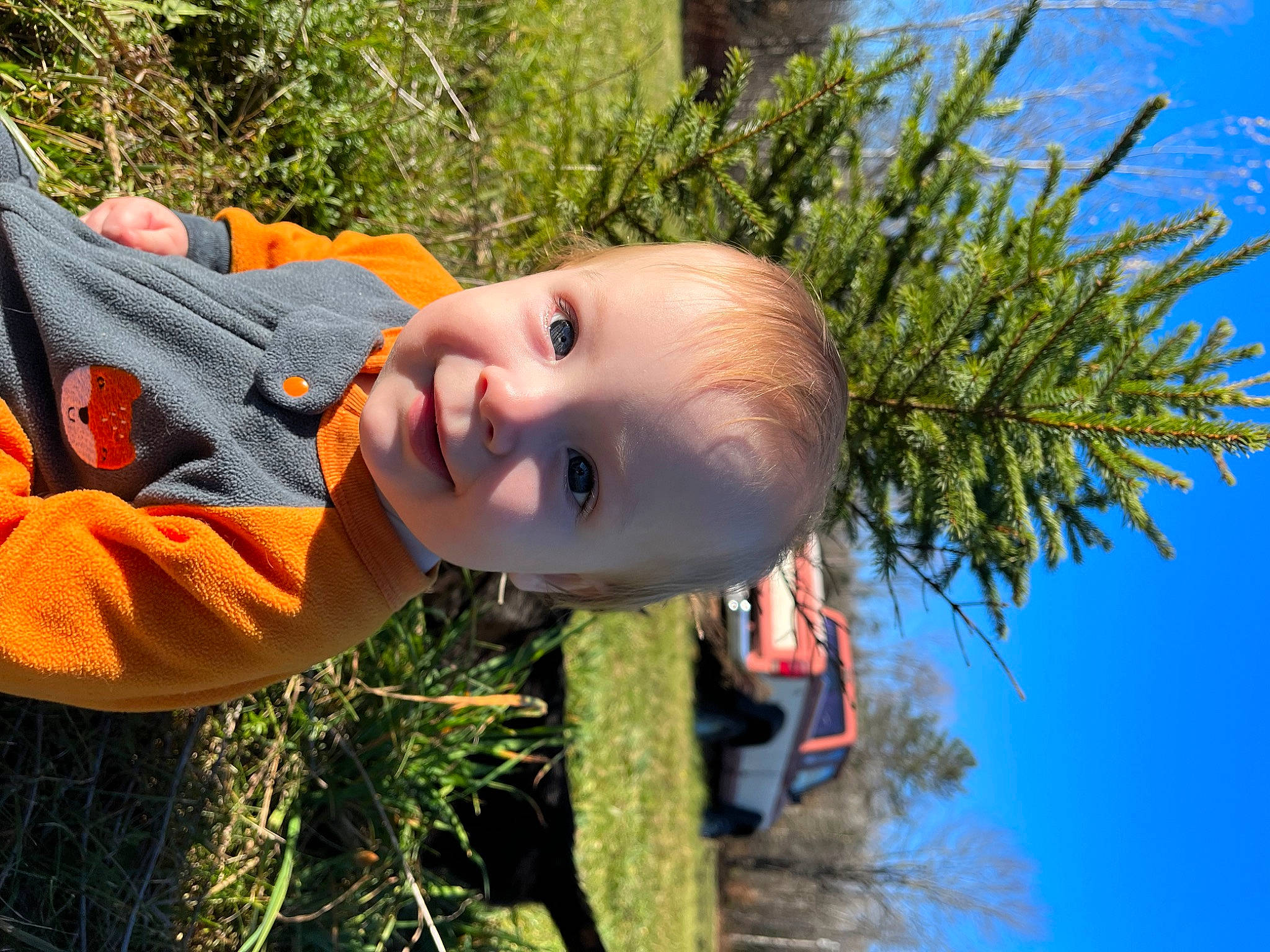 Brantley is registered to the contest to win money with this photo: baby, baby_laughing, baby_toddler_clothing, child, eye, fun, grass, grass_family, happy, joy, leaf, leisure, people_in_nature, person, plant, smile, summer, terrestrial_plant, toddler, tree