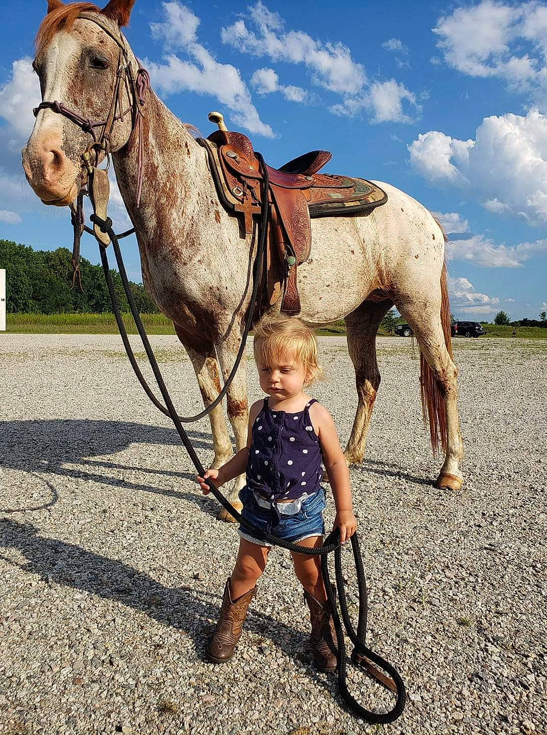 Emmalyn joined the competition — help win amazing prizes! bridle, halter, horse, horse_harness, horse_supplies, horse_tack, mammal, mane, mare, mode_of_transport, pack_animal, person, plant, recreation, rein, sky, sorrel, stallion, stock_photography, vehicle