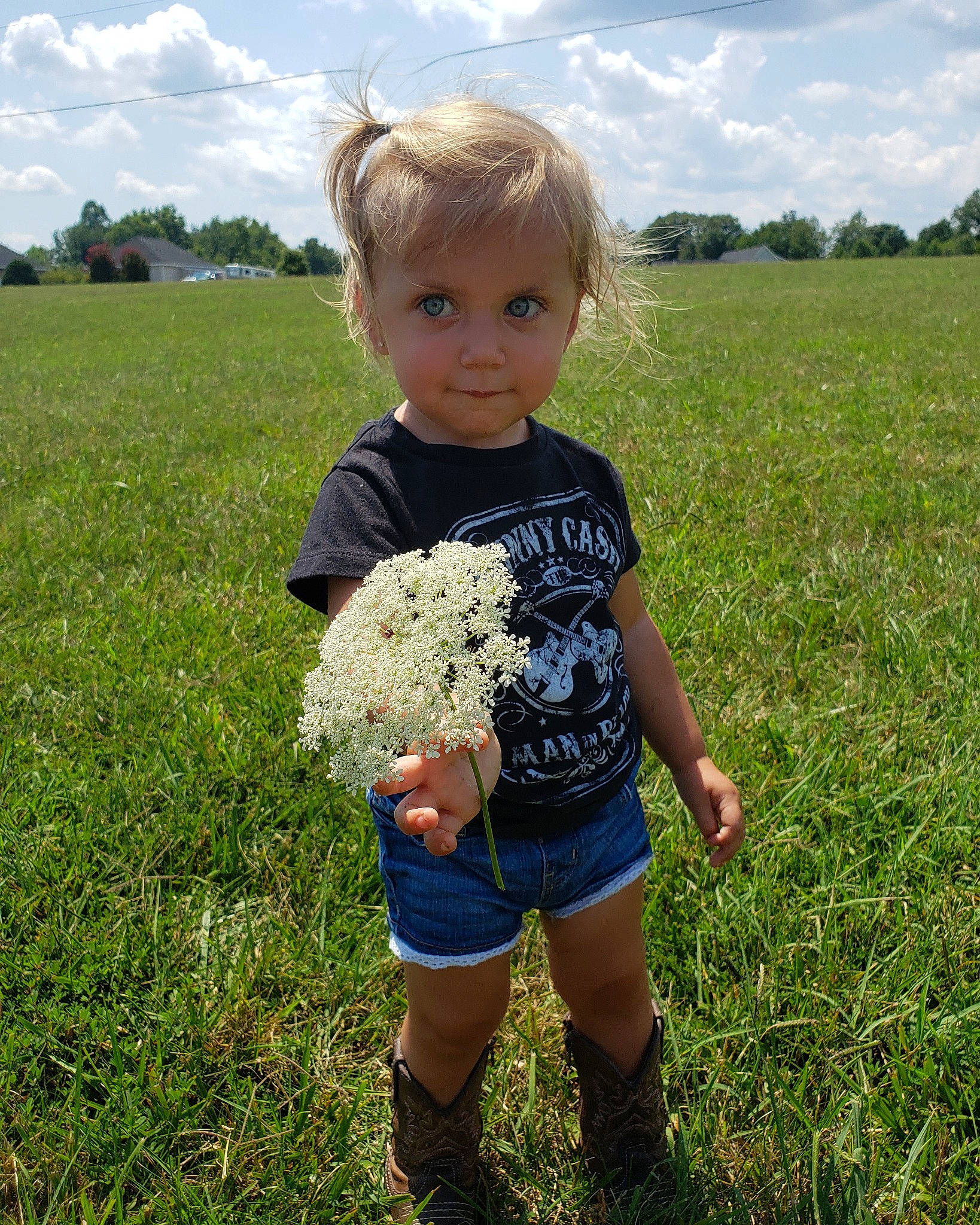 Emmalyn is registered to the contest to win money with this photo: child, farm, field, flower, grass, grass_family, grassland, male, meadow, pasture, person, plant, shorts, summer, toddler, vacation, wildflower
