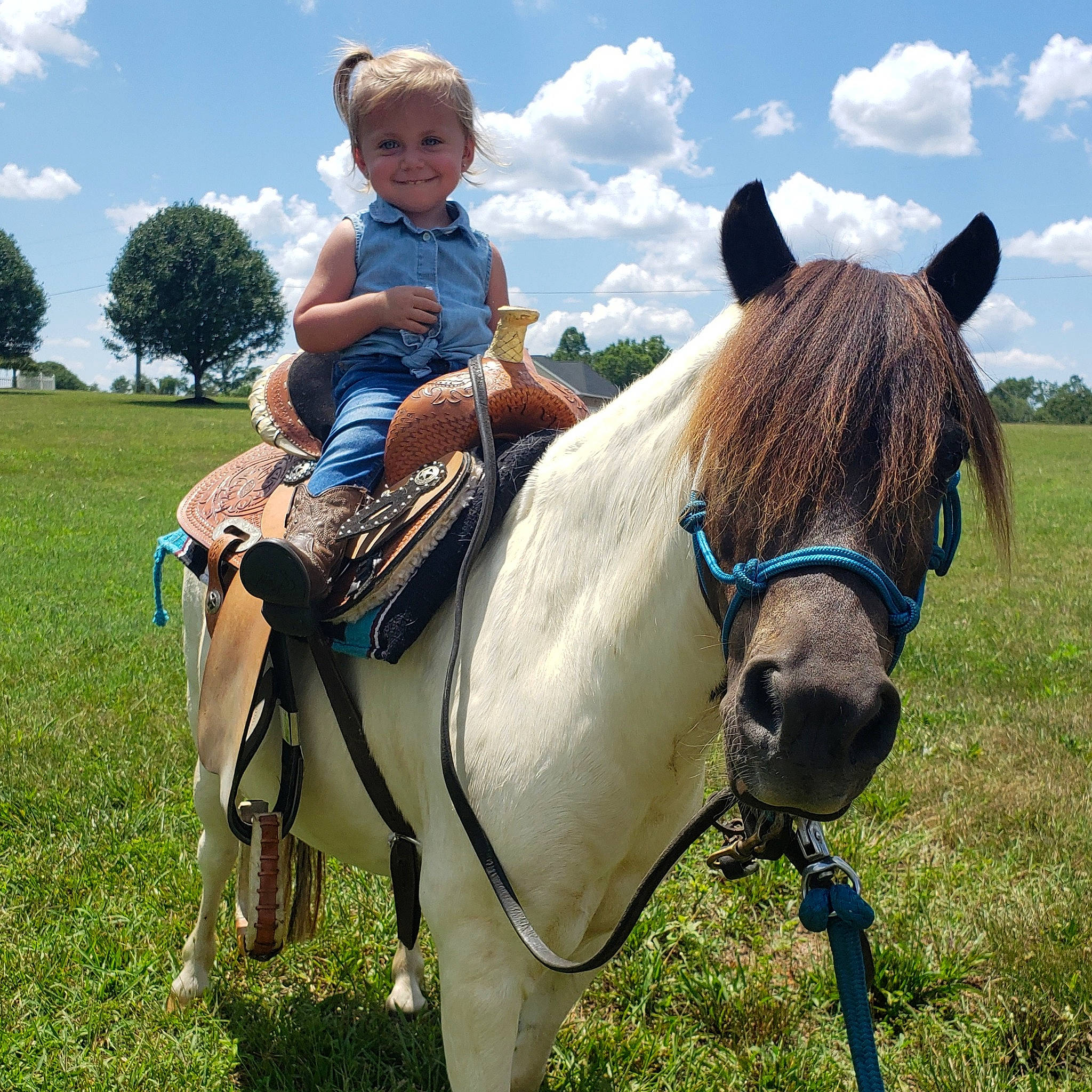 Emmalyn is registered to the contest to win money with this photo: animal_sports, bridle, halter, horse, horse_harness, horse_supplies, horse_tack, joy, mammal, mane, mare, pack_animal, person, pony, recreation, rein, rural_area, saddle, snout, stallion