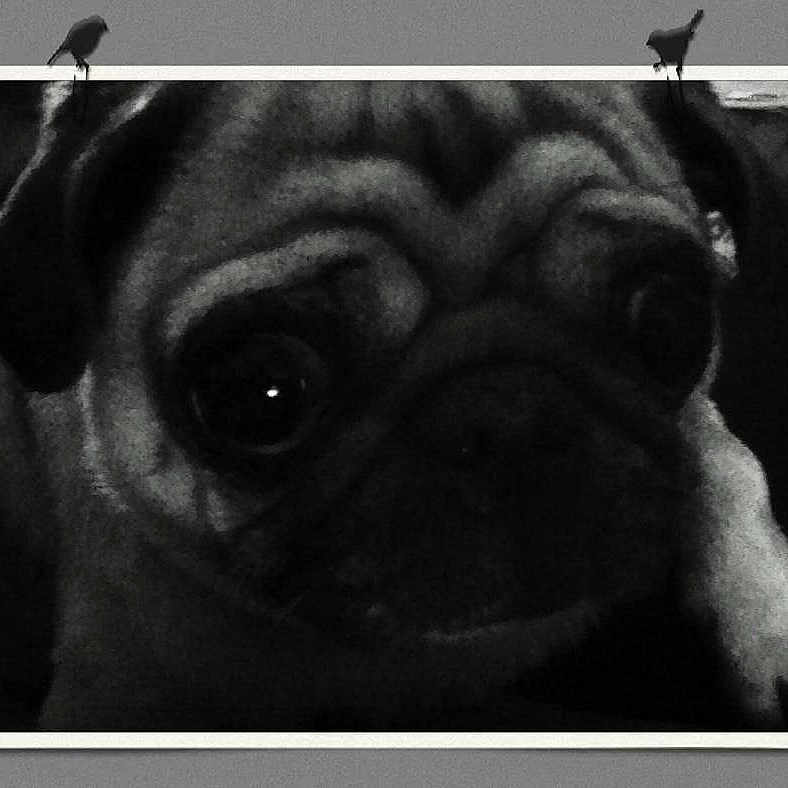 Maggie May Monroe