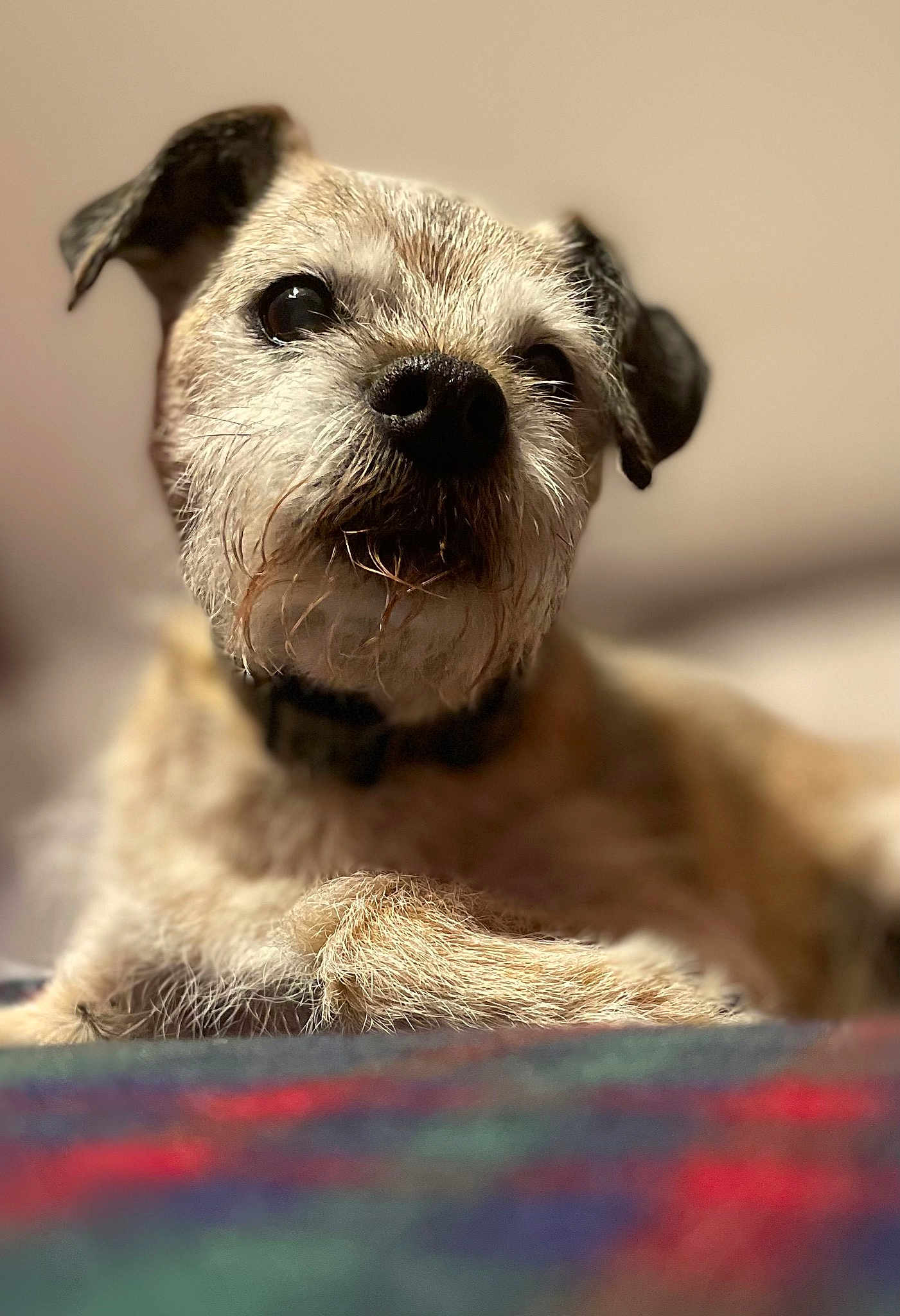 Mr Mason