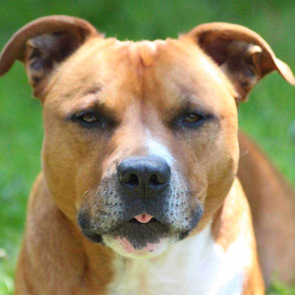 Boleyn joined the competition — help win amazing prizes!