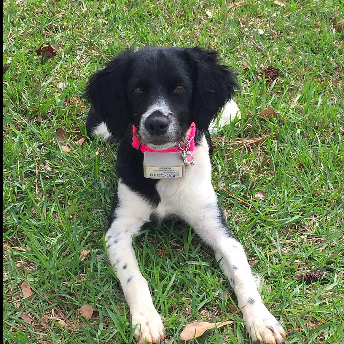 Lucy
