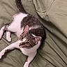 Osiris participe au concours pour gagner de l'argent avec cette photo :