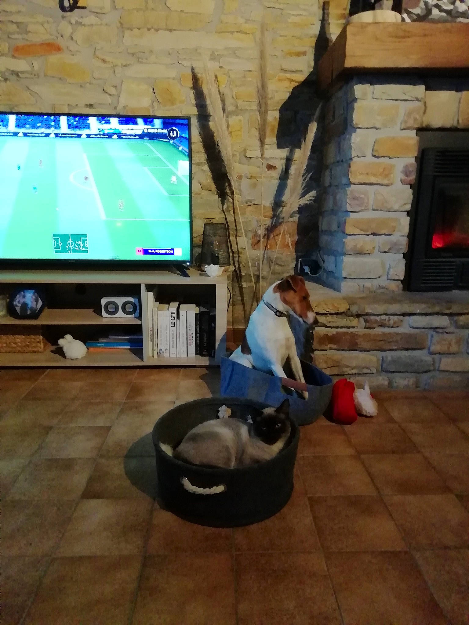 Prince a rejoint le concours — aidez-le/la à gagner de superbes lots ! electronic_device, floor, flooring, games, technology