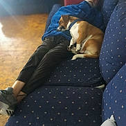 David is registered to the contest to win money with this photo: man, dog, couch, blanket, sleeping, indoor, relaxing, blue, pet, fur, comfort, senior, casual_clothing, footwear, home, cozy, rest, companion, furniture, leisure
