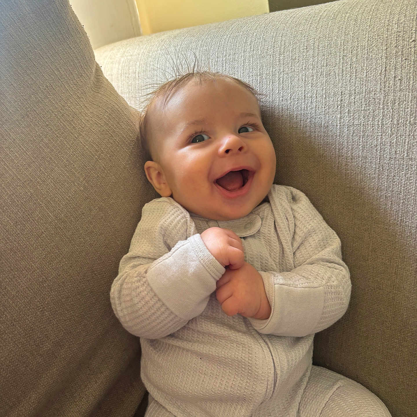 Warren joined the competition — help win amazing prizes! baby, babylaughing, clothing, couch, cushion, face, furniture, happy, head, homedecor, laughing, newborn, pants, person, photography, portrait, smile, yawning