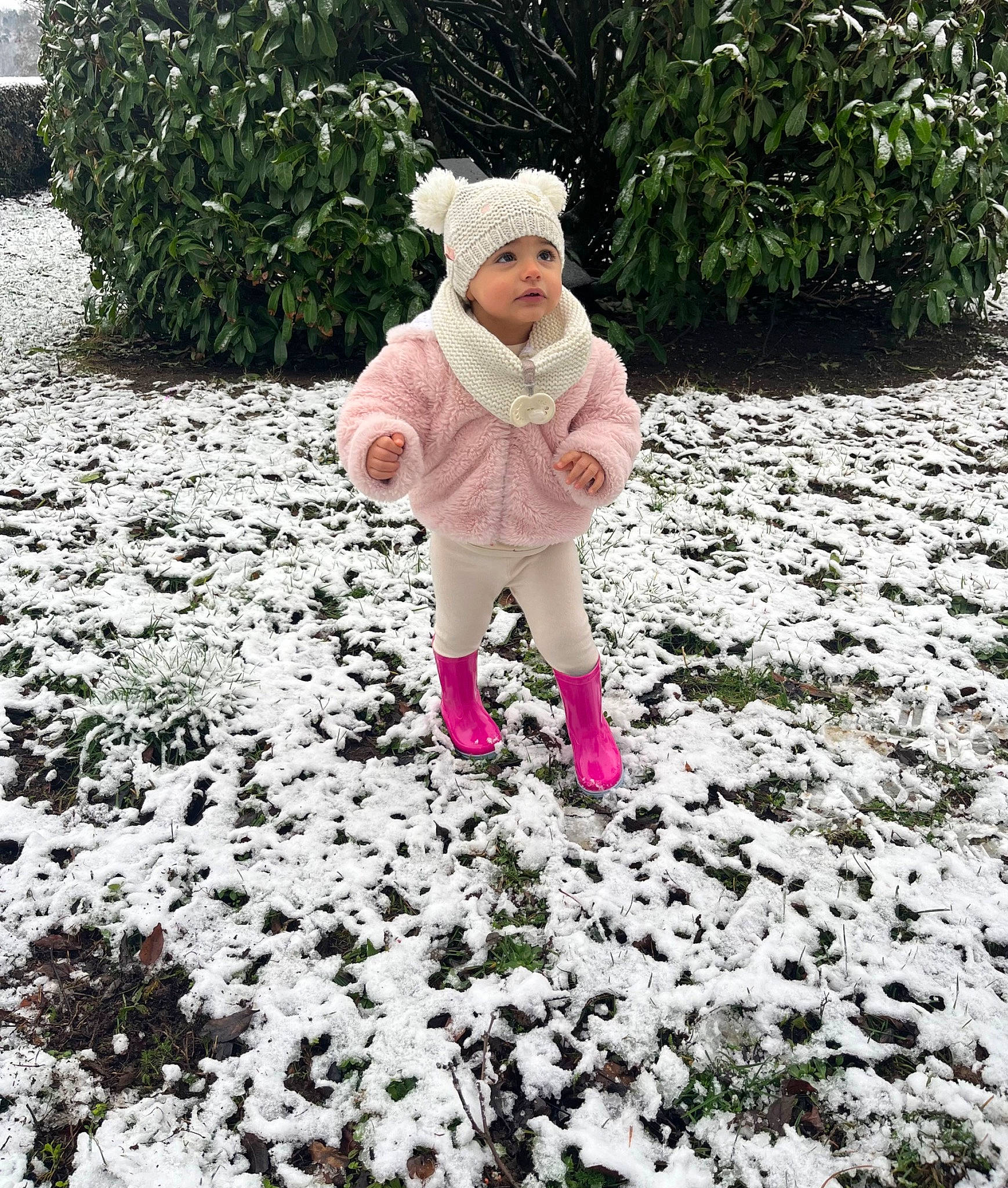 Pearl participe au concours pour gagner de l'argent avec cette photo : baby_toddler_clothing, child, freezing, frost, fur, garden, grass, groundcover, headwear, landscape, pattern, people_in_nature, person, petal, plant, shrub, sleeve, snow, soil, toddler