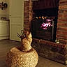 animal, basket, brick, cat, cozy, fire, fireplace, flames, ginger_cat, hearth, home_decor, indoor, kitten, living_room, ottoman, pet, sitting, warm_lighting, wooden_floor, woven_furniture