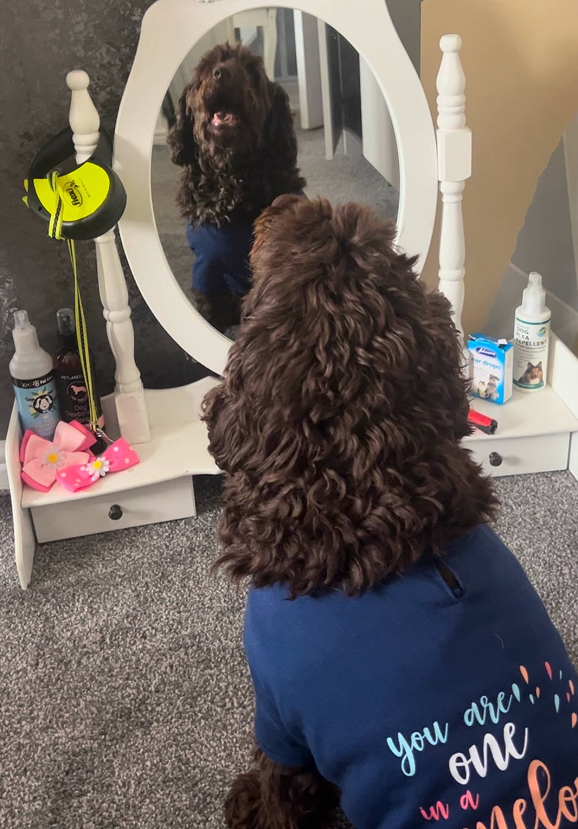 Willow is registered to the contest to win money with this photo: art, costume, electric_blue, event, fashion_design, flooring, fun, fur, hair_coloring, hairstyle, long_hair, room, sportswear, t_shirt, visual_arts, wig