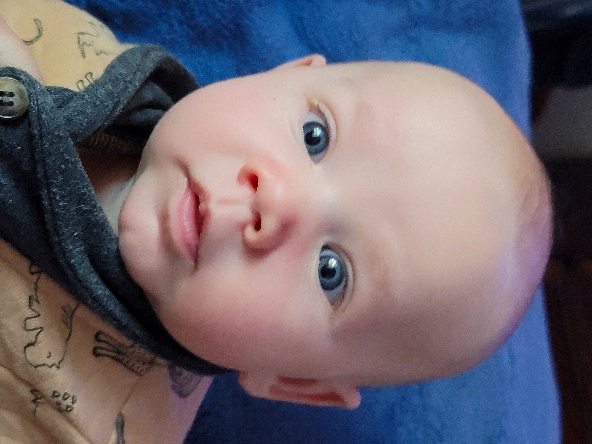 Kash joined the competition — help win amazing prizes! baby, baby_toddler_clothing, cheek, chin, cool, eye, eyebrow, eyelash, flash_photography, forehead, hair, iris, lip, mouth, neck, nose, person, plant, skin, smile