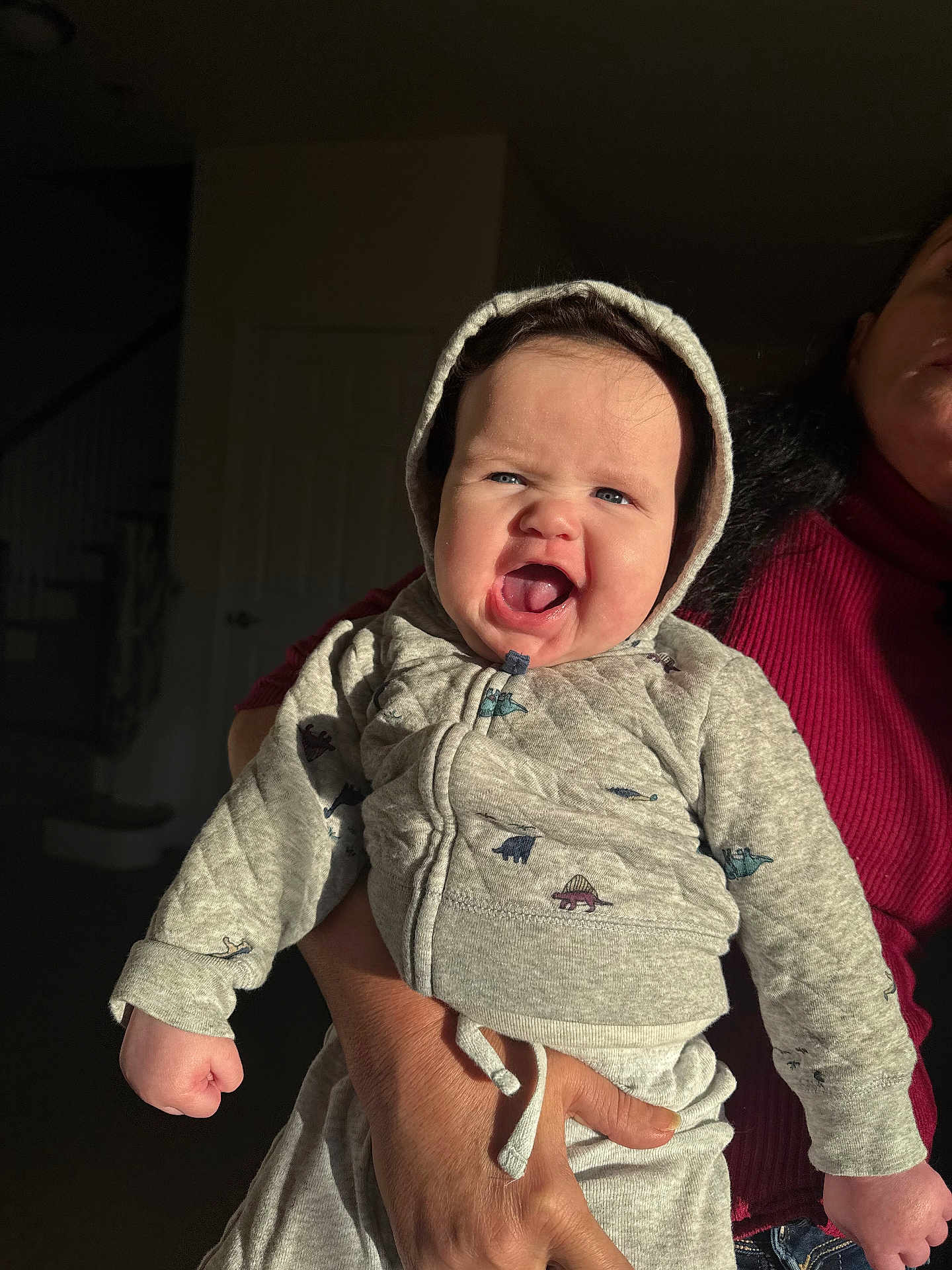 Anthony Melo is registered to the contest to win money with this photo: baby, child, hoodie, dinosaur_print, clothing, person, hand, indoor, portrait, expression, cute, smiling, light, shadow, adult_hand, face, blue_eyes, infant, sweatshirt, warm_light