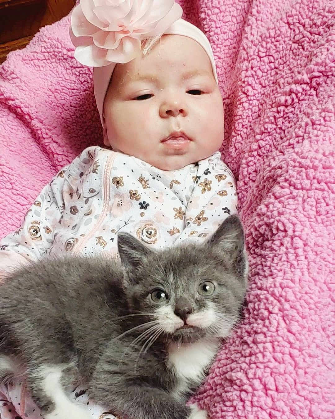 Rylynn joined the competition — help win amazing prizes! art, baby, baby_toddler_clothing, carnivore, cat, comfort, domestic_short_haired_cat, face, felidae, fur, grey, headwear, iris, linens, pattern, person, pink, sleeve, small_to_medium_sized_cats, textile