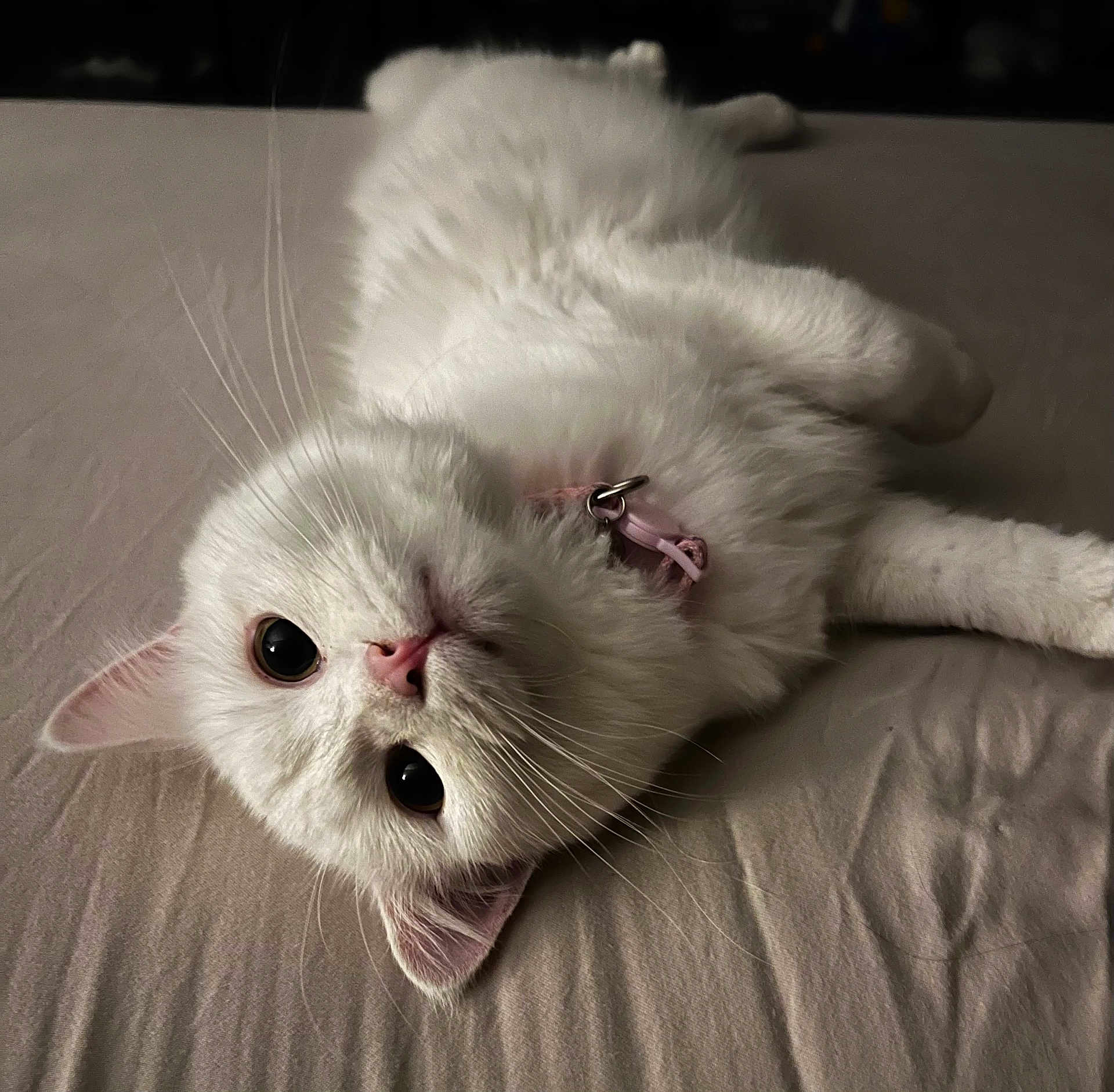 Princess Zelda